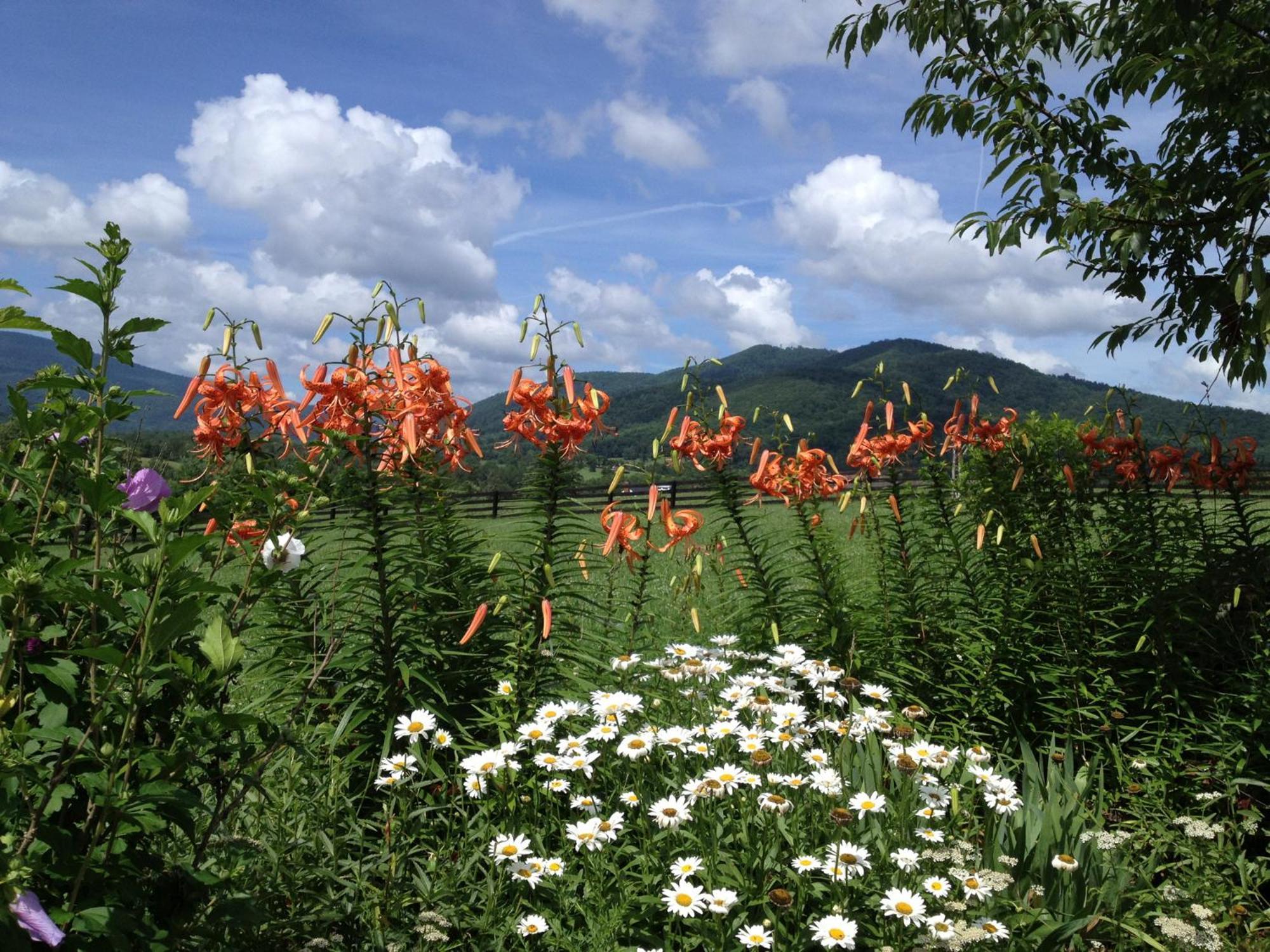 Montfair Resort Farm Crozet Екстериор снимка