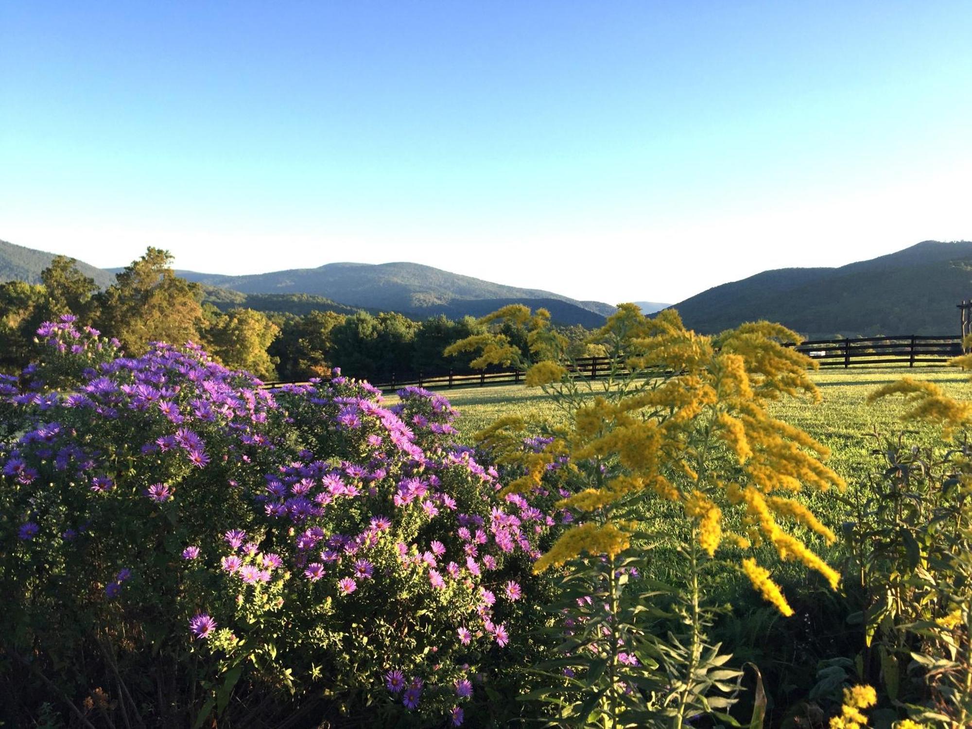 Montfair Resort Farm Crozet Стая снимка
