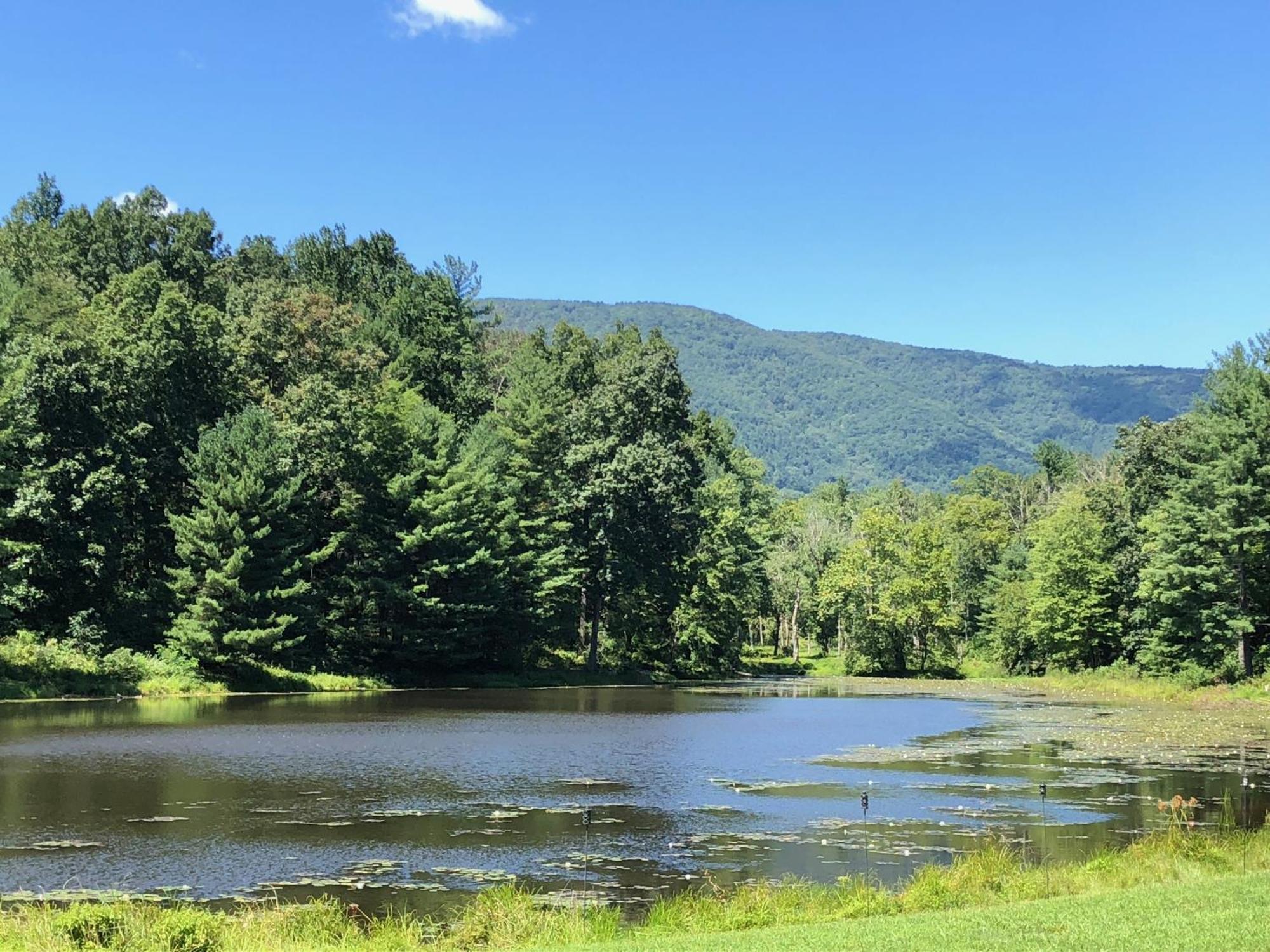 Montfair Resort Farm Crozet Стая снимка