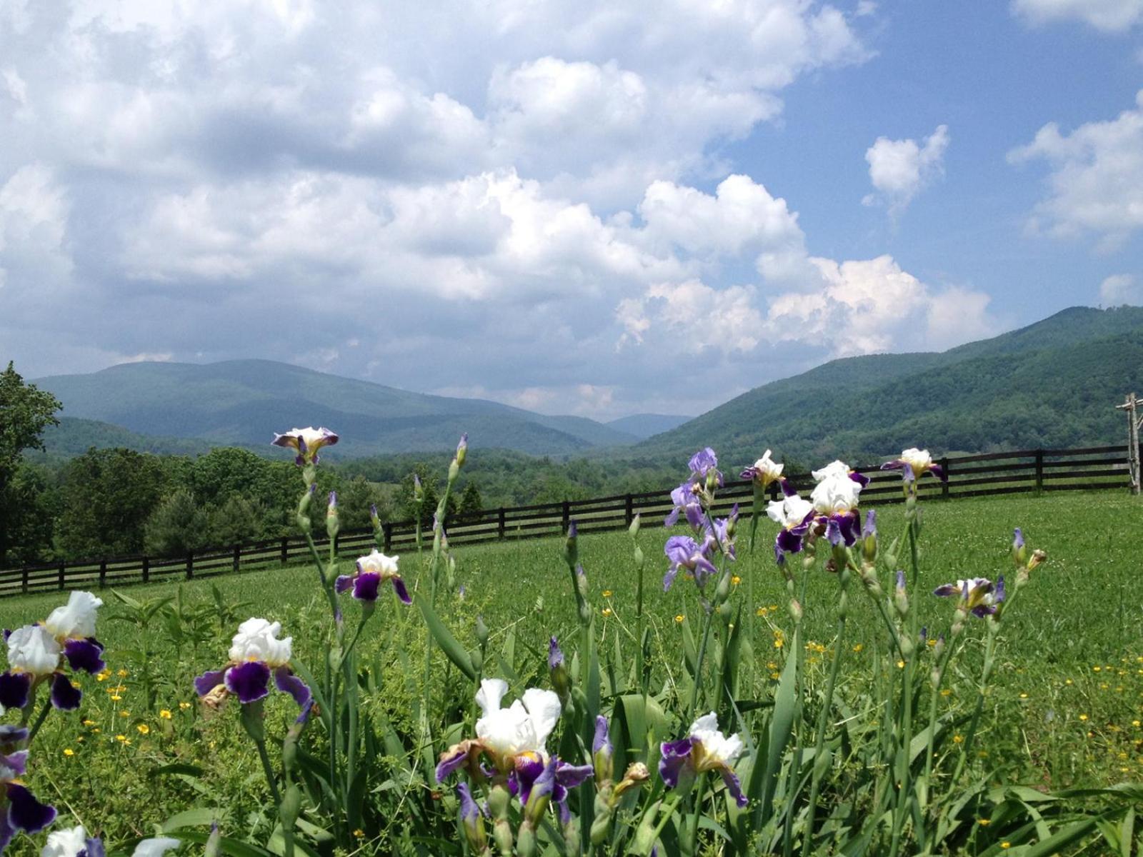 Montfair Resort Farm Crozet Стая снимка