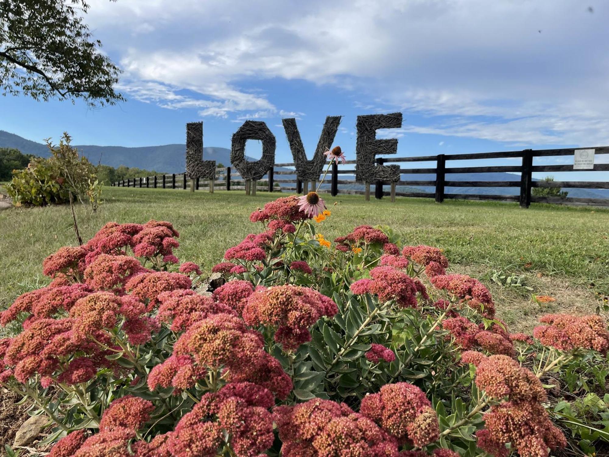 Montfair Resort Farm Crozet Стая снимка